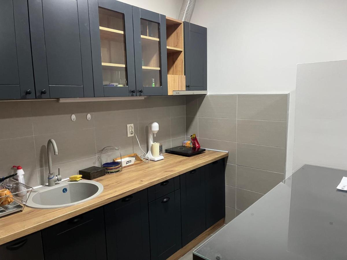 Penthouse Daire Užice Dış mekan fotoğraf
